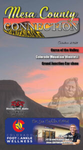 Digital Marketing ~Issue 2